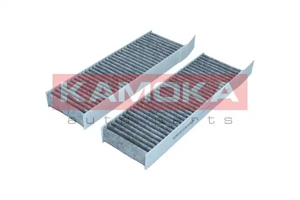 KAMOKA F522401
