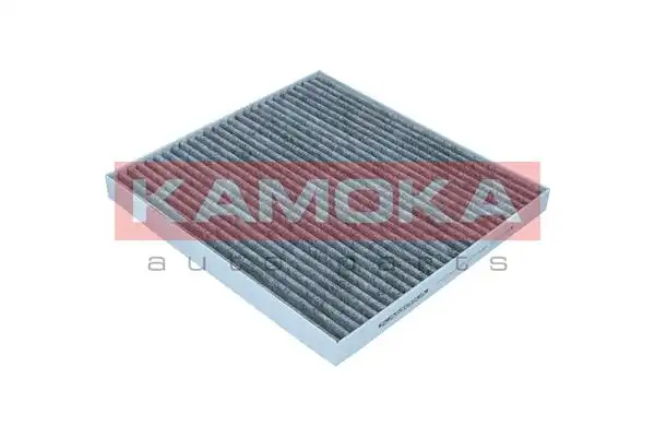 KAMOKA F522501