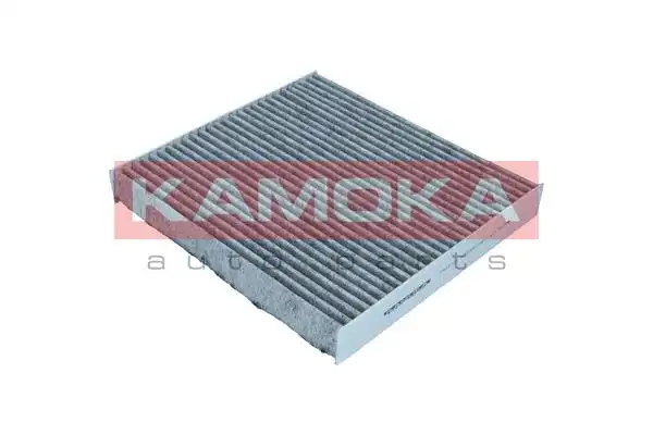 KAMOKA F522701