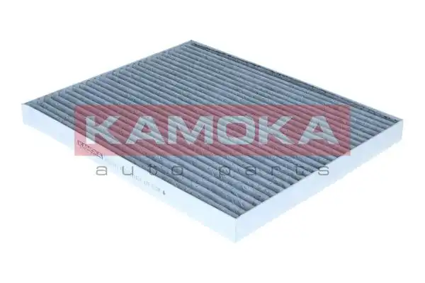 KAMOKA F523101