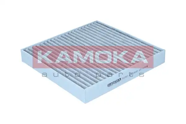 KAMOKA F523501