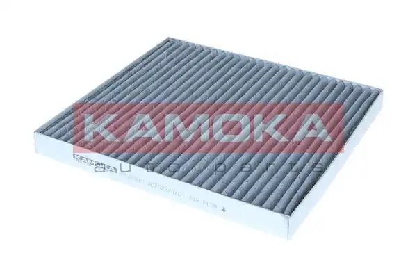 KAMOKA F523901