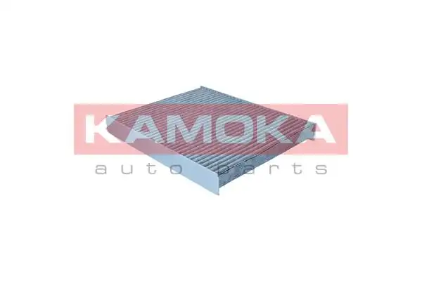 KAMOKA F524701