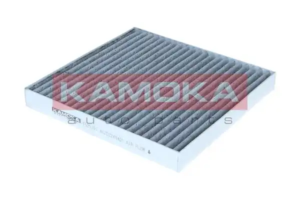 KAMOKA F525101