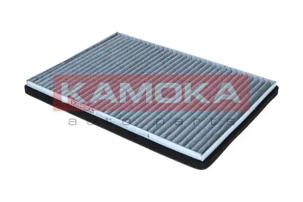KAMOKA F525301