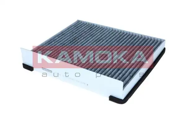 KAMOKA F527701