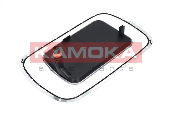 KAMOKA F602501