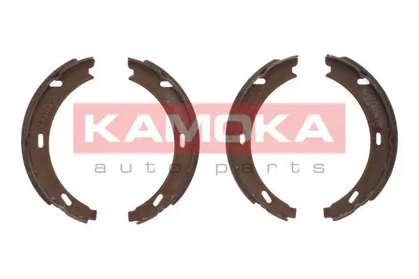 KAMOKA JQ212041