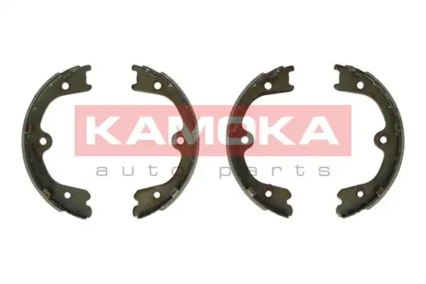 KAMOKA JQ212069