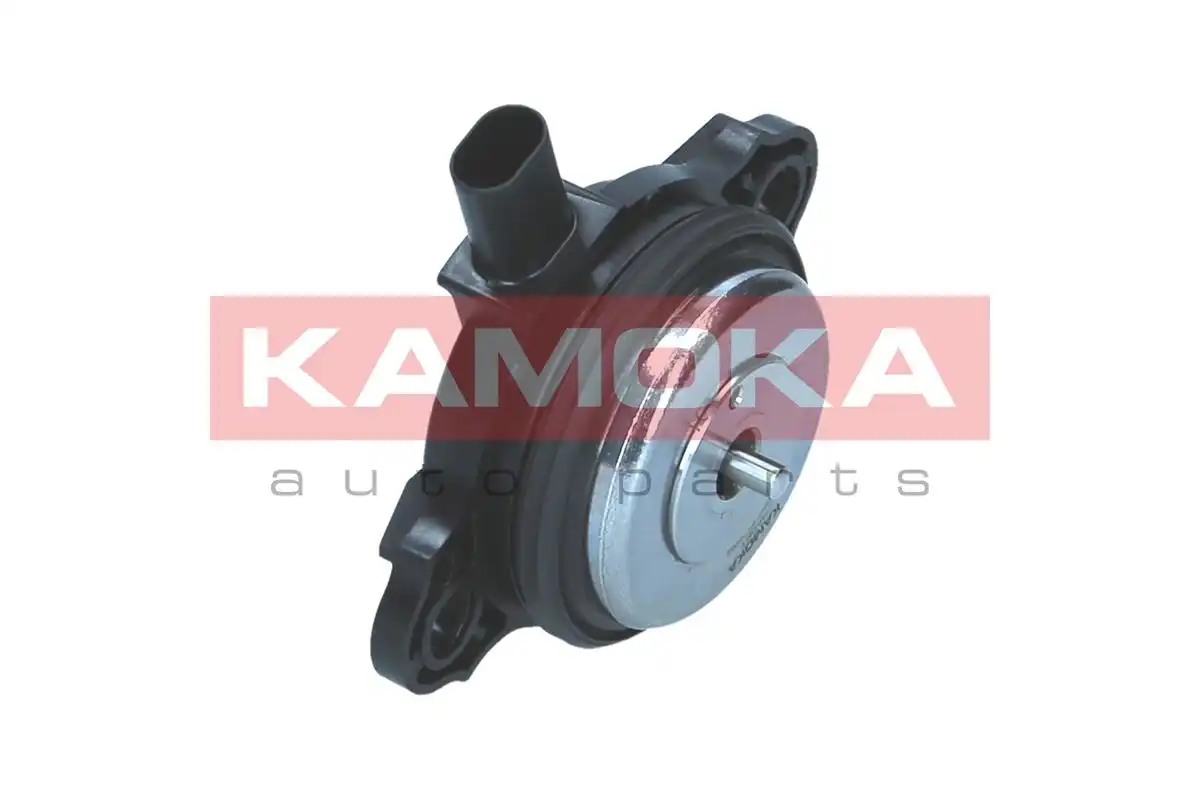 KAMOKA RA061