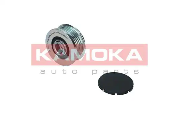 KAMOKA RC019