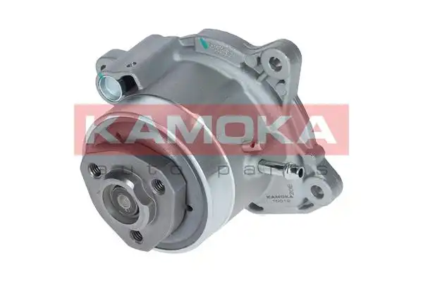 KAMOKA T0019