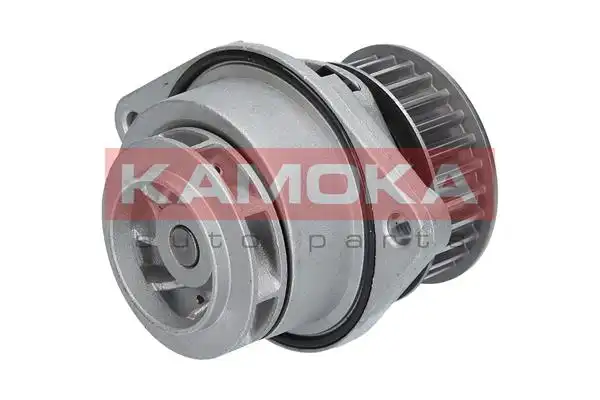 KAMOKA T0024