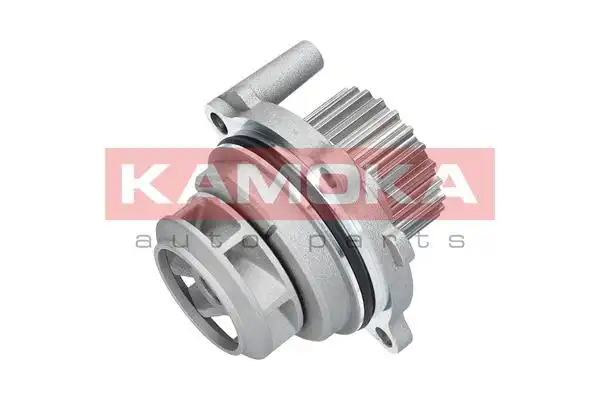 KAMOKA T0029
