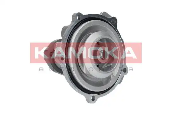 KAMOKA T0038