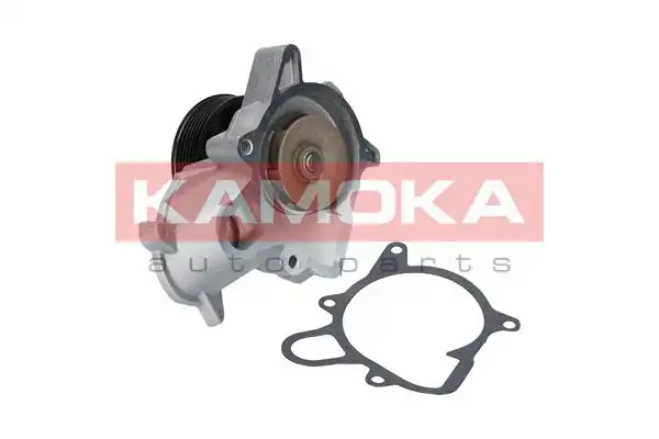 KAMOKA T0053