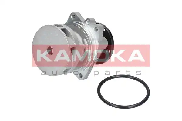 KAMOKA T0059