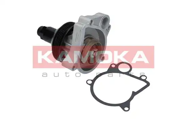 KAMOKA T0062