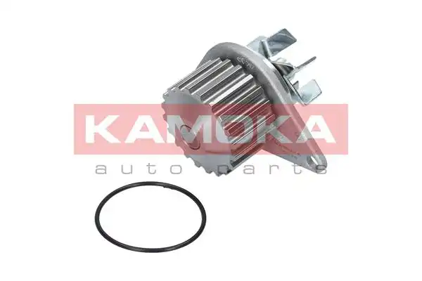 KAMOKA T0078