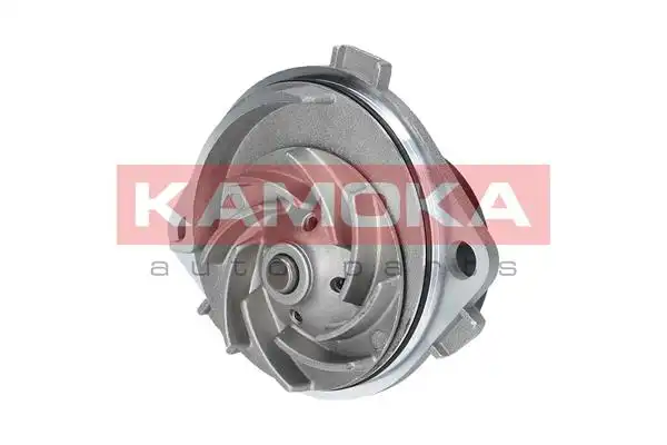 KAMOKA T0111