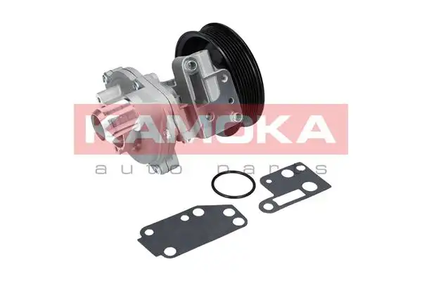 KAMOKA T0142