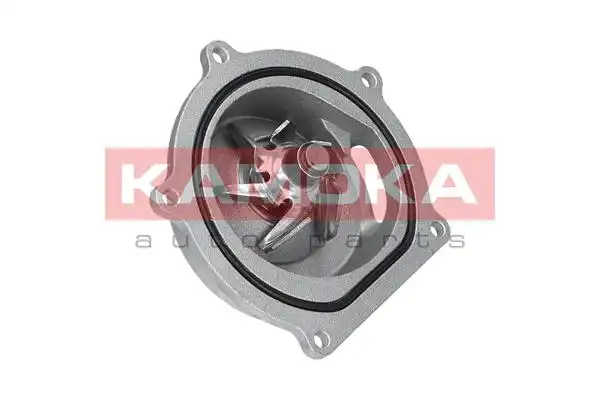 KAMOKA T0145
