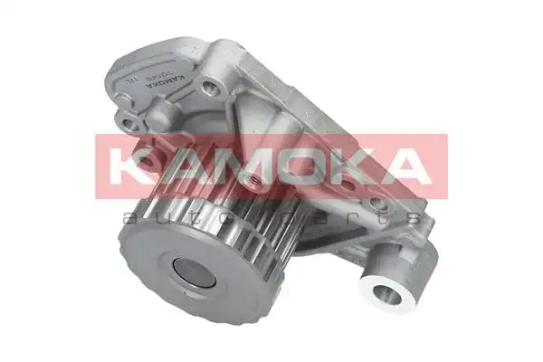 KAMOKA T0149