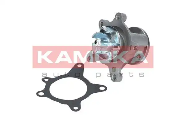 KAMOKA T0163