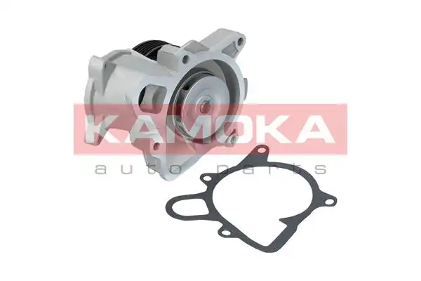 KAMOKA T0173