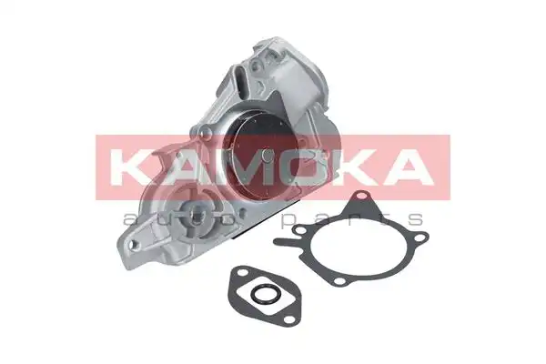 KAMOKA T0177
