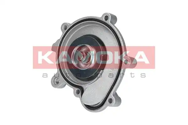 KAMOKA T0194