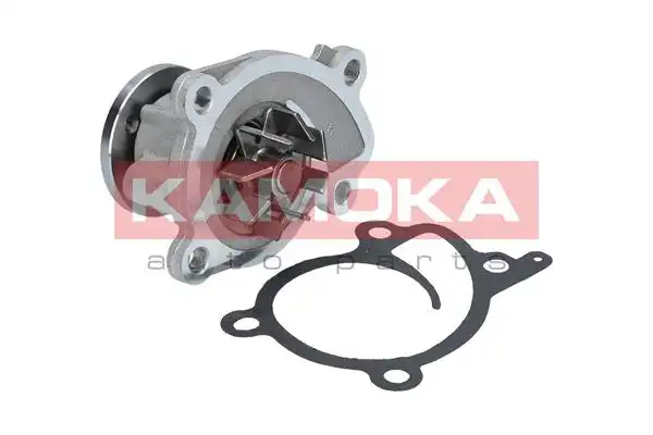 KAMOKA T0215