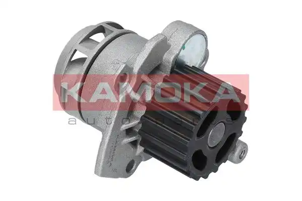 KAMOKA T0253