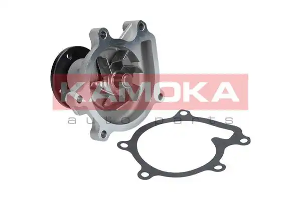 KAMOKA T0269