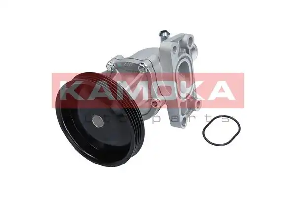 KAMOKA T0276