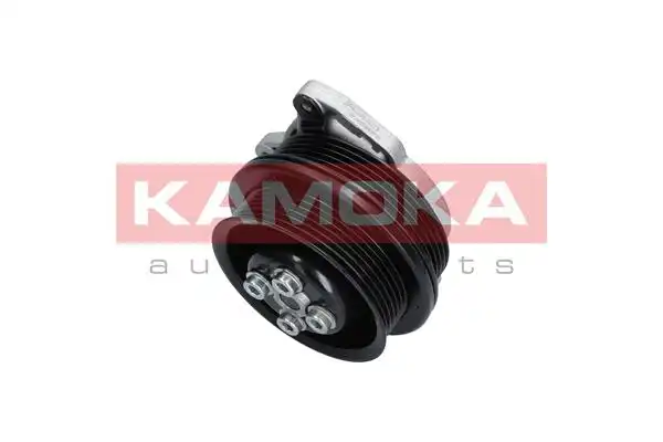KAMOKA T0278