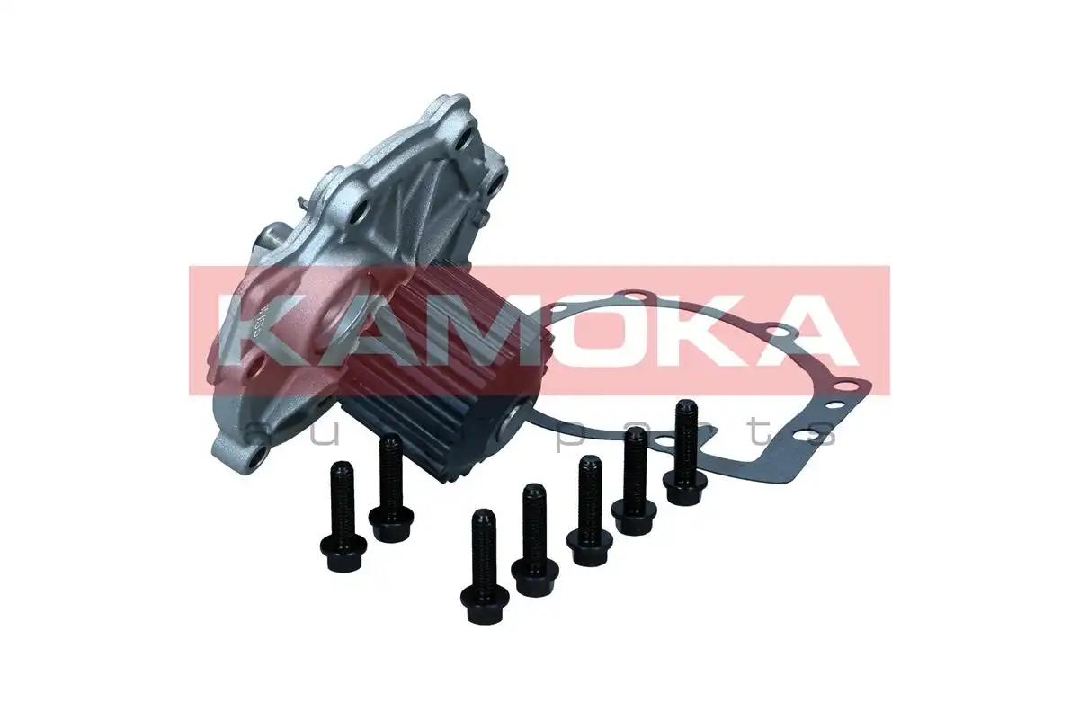 KAMOKA T0288