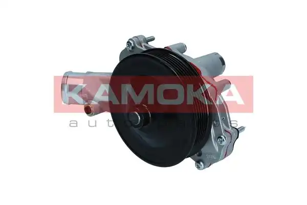KAMOKA T0291
