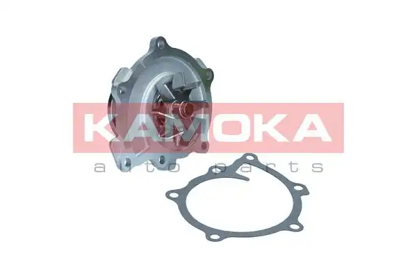 KAMOKA T0294