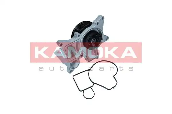 KAMOKA T0298