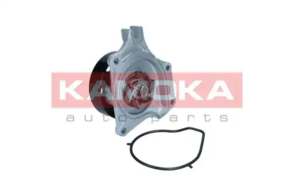KAMOKA T0307