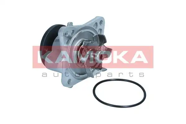KAMOKA T0309