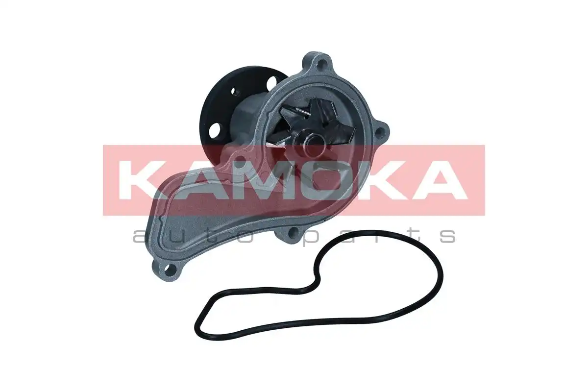 KAMOKA T0314