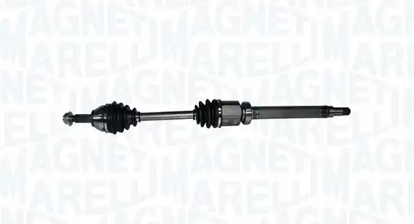 MAGNETI MARELLI 302004190060
