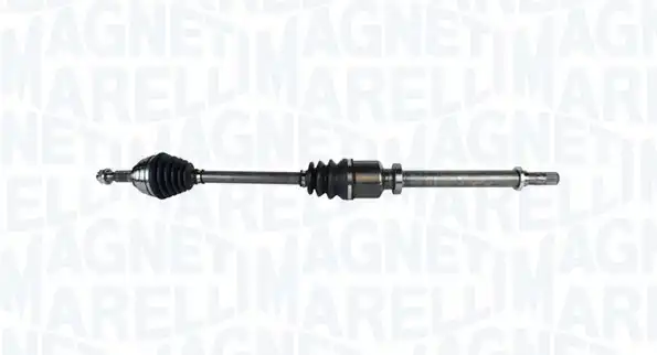 MAGNETI MARELLI 302004190113