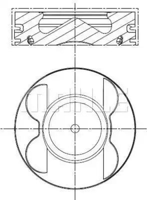 MAHLE 001 PI 00106 001