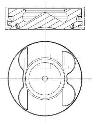 MAHLE 001 PI 00107 001
