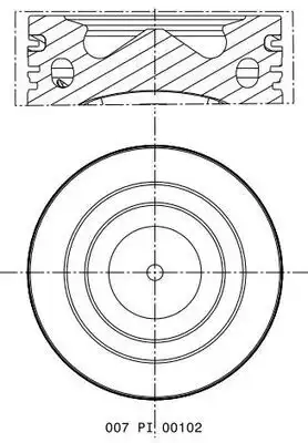 MAHLE 007 PI 00102 001