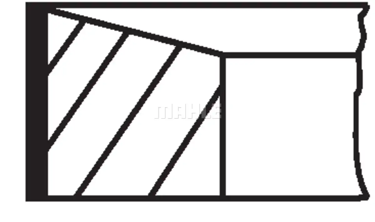 MAHLE 007 RS 10111 0N0