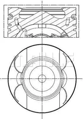 MAHLE 013 PI 00156 002